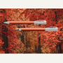 Ballpoint Pen Ambition OpArt Autumn Leaves